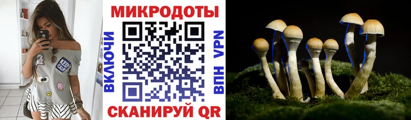 Галлюциногенные грибы GOLDEN TEACHER  МЕГА ССЫЛКА  Шарыпово 